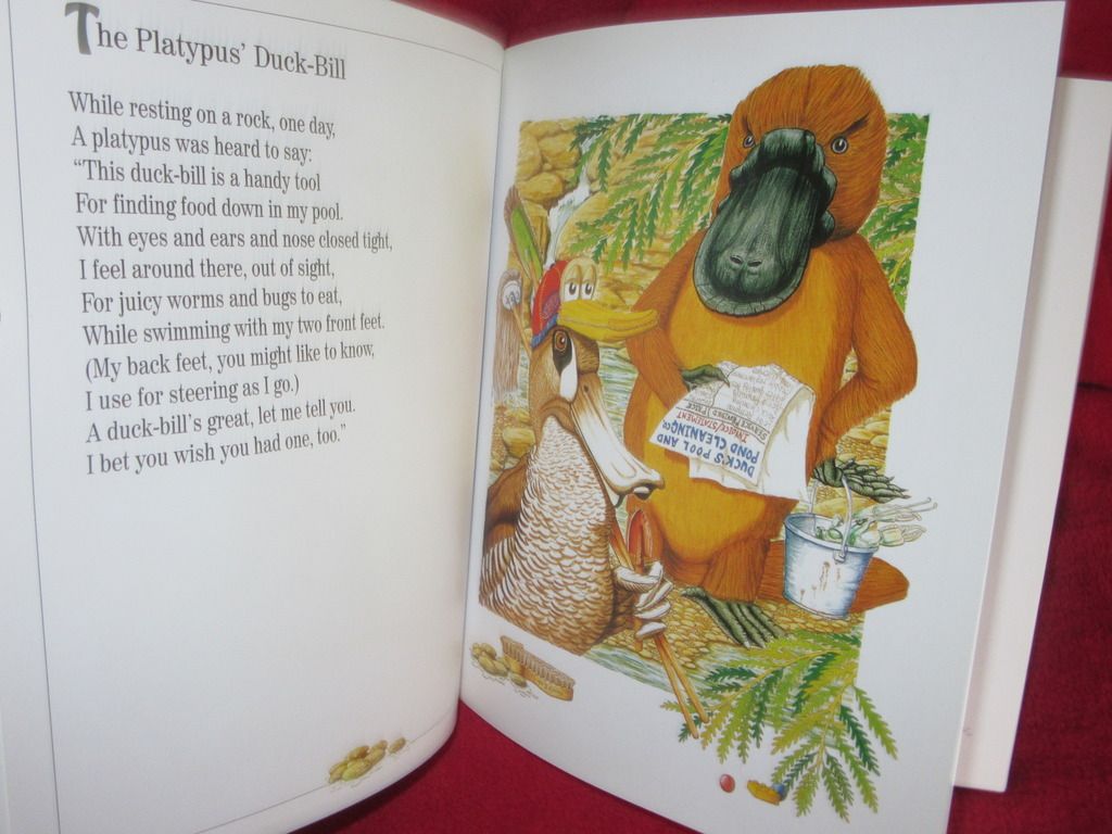  photo IMG_4774_zps9oavo6dq.jpg