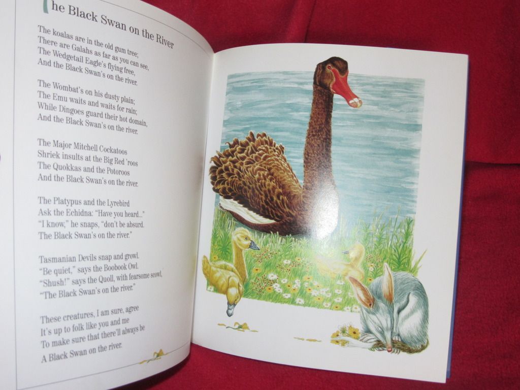 photo IMG_4781_zpsgiabpryr.jpg