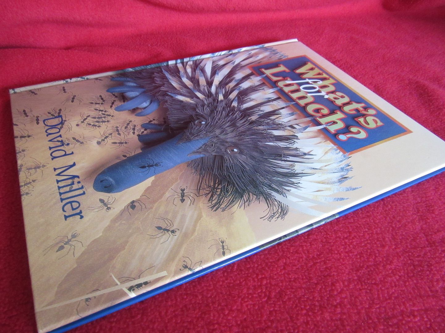  photo IMG_5239_zpsplvdv87q.jpg