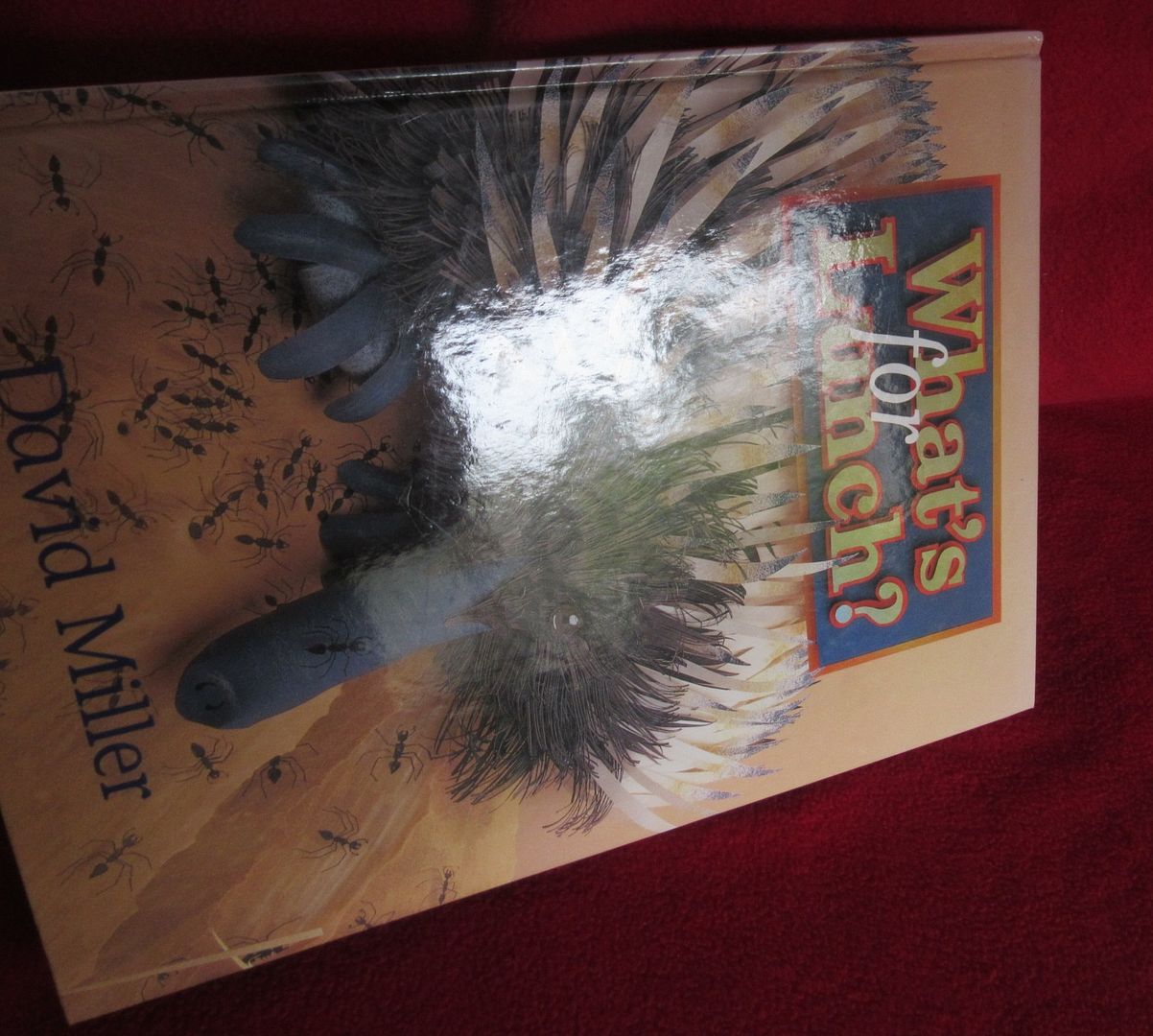  photo IMG_5240_zps74uhmf9o.jpg