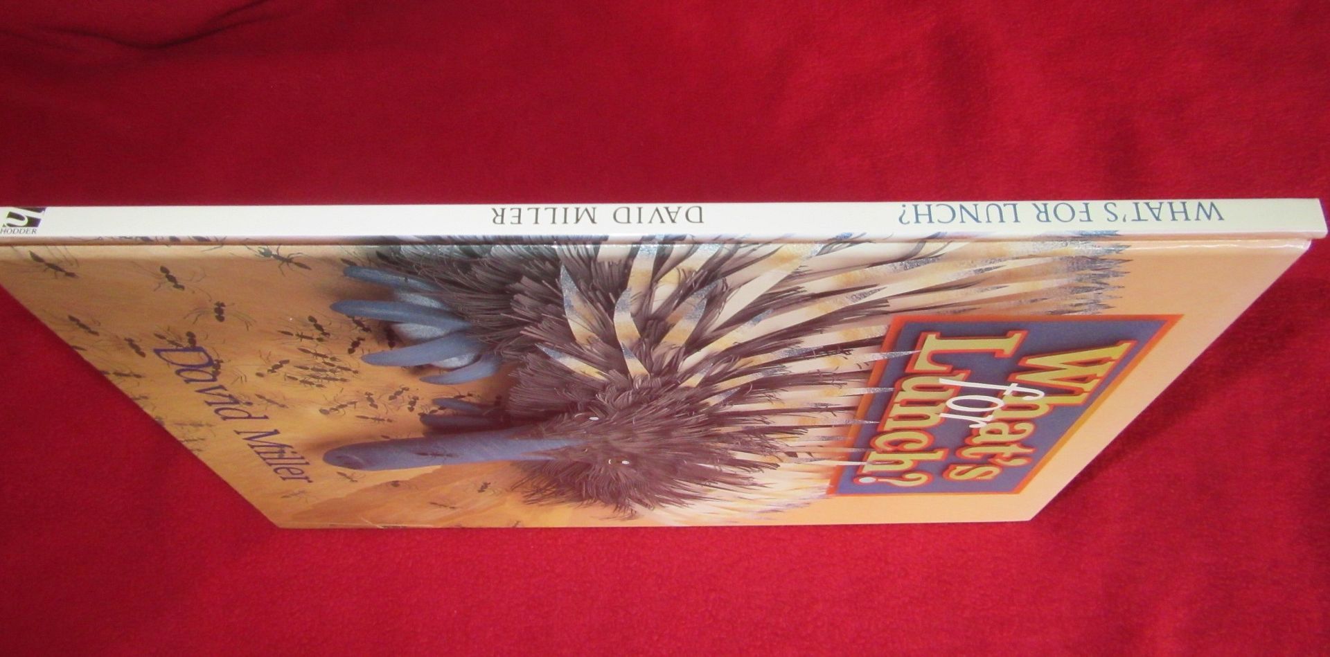  photo IMG_5241_zpsae3chdsc.jpg