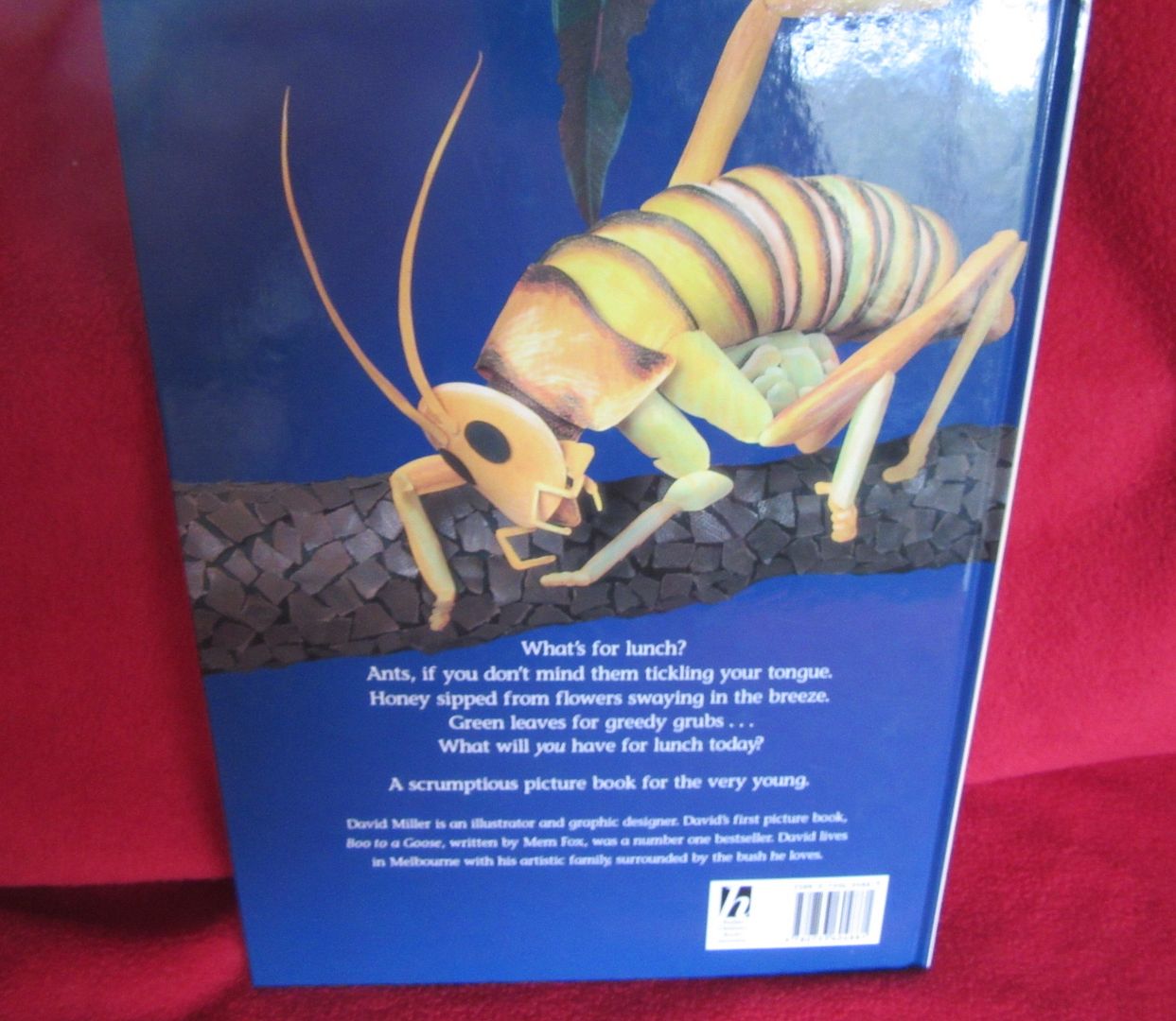  photo IMG_5244_zpsiwhrm3an.jpg