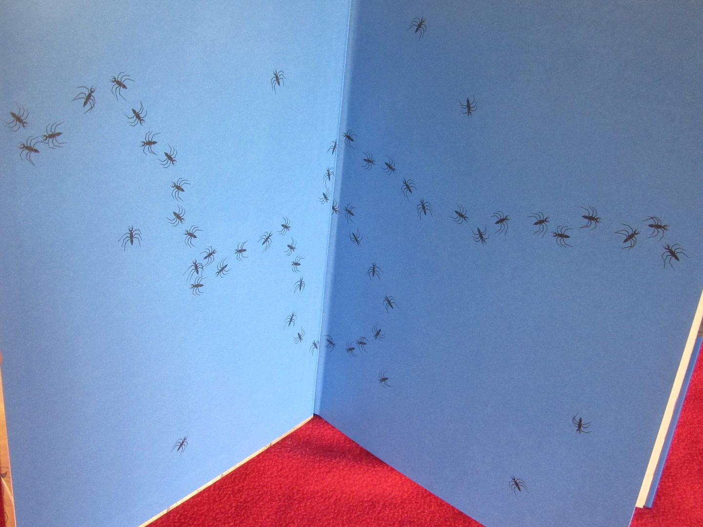  photo IMG_5246_zpsnavgyqxq.jpg