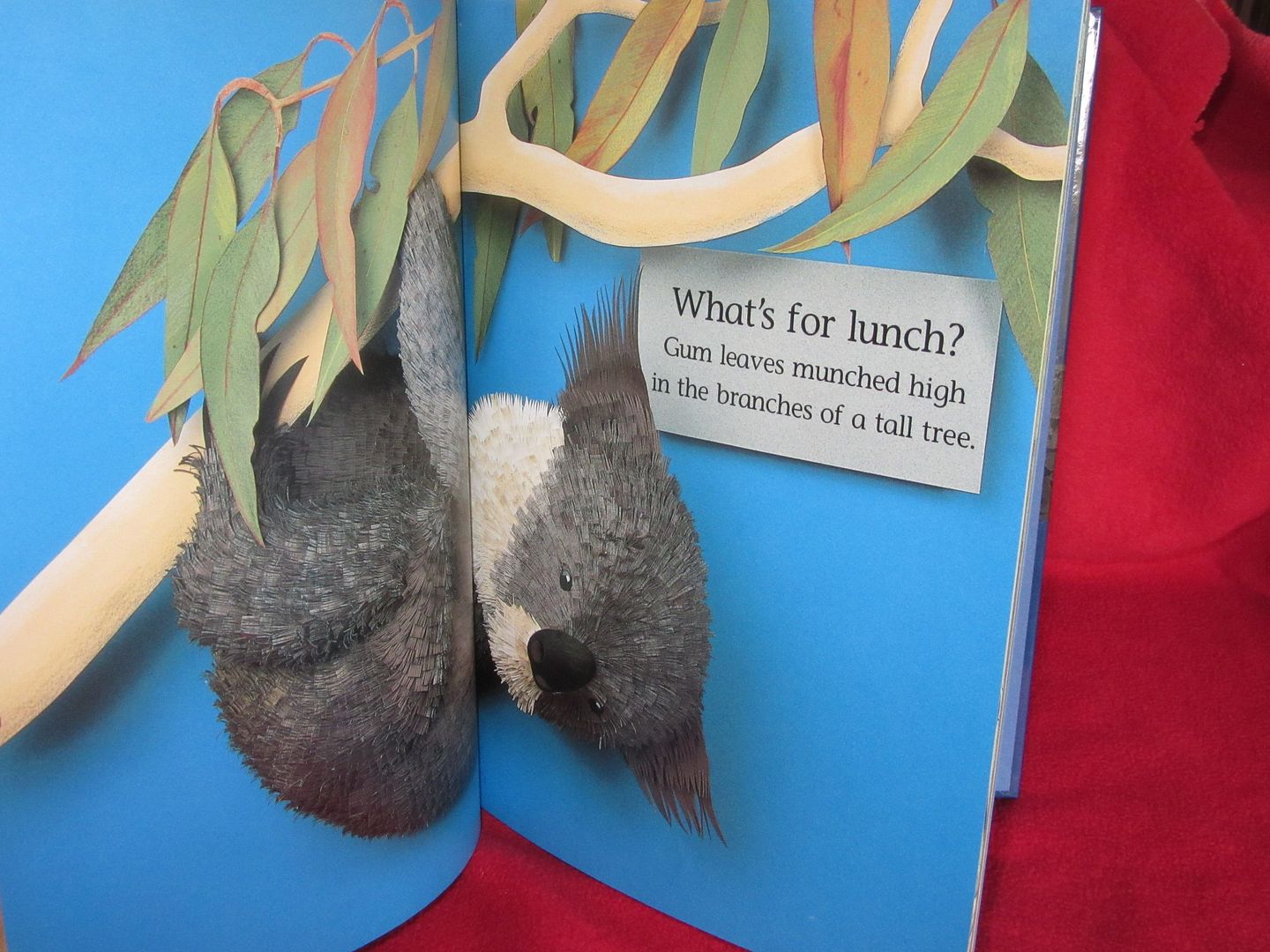  photo IMG_5254_zpst8l7xddh.jpg