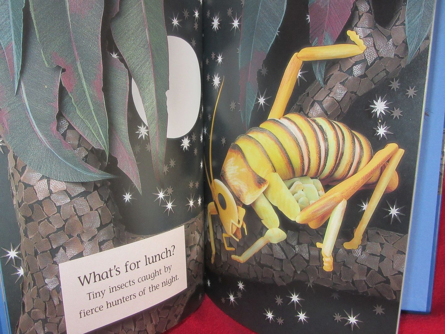  photo IMG_5256_zpstd34eh2a.jpg