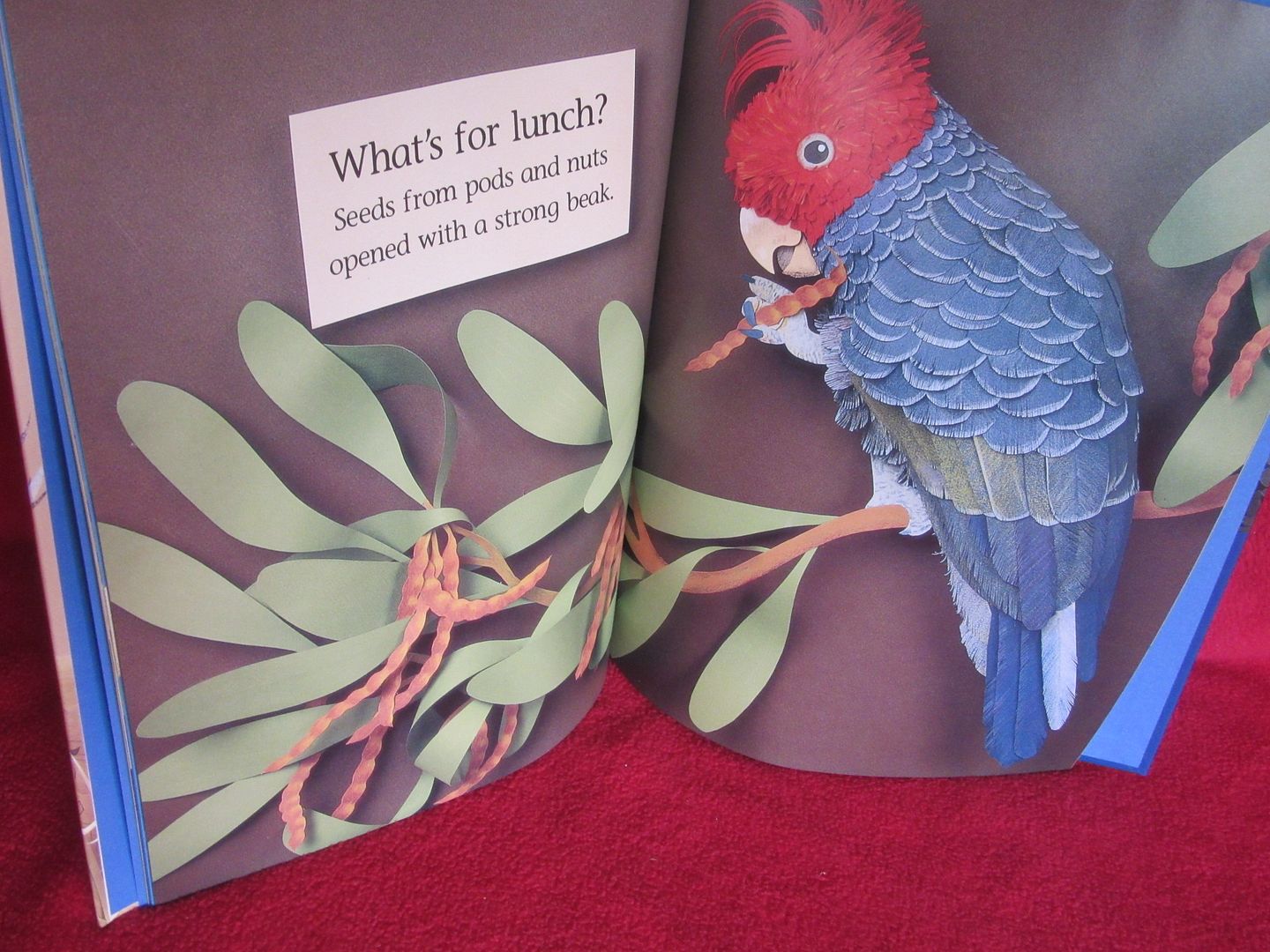  photo IMG_5258_zpsws4puuiq.jpg