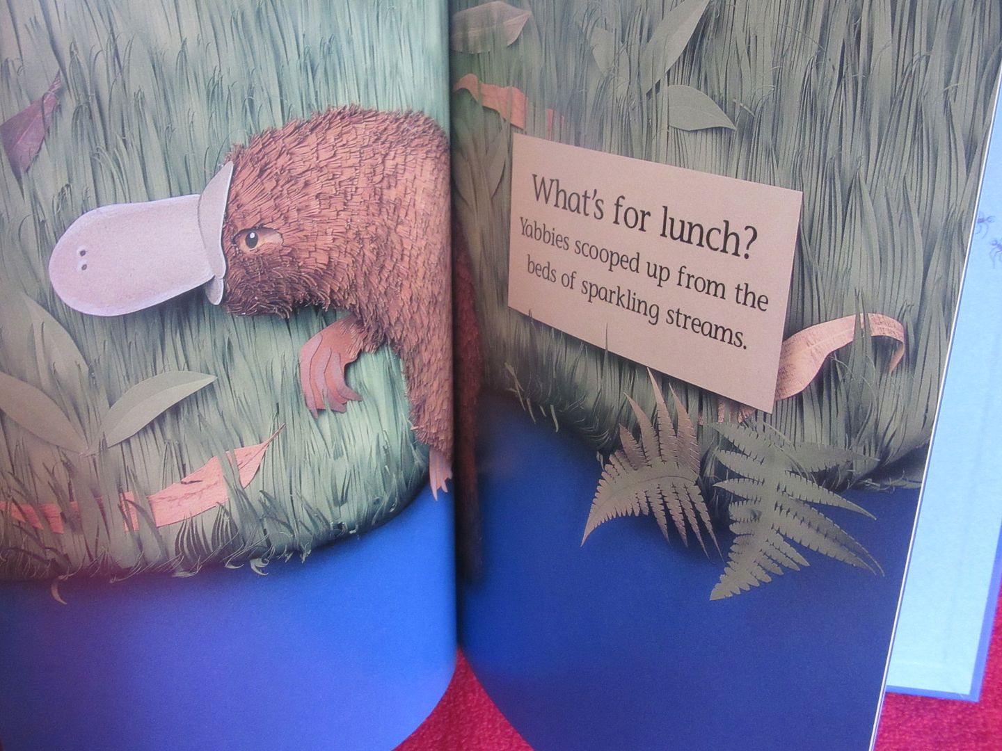  photo IMG_5259_zpsfchisshe.jpg