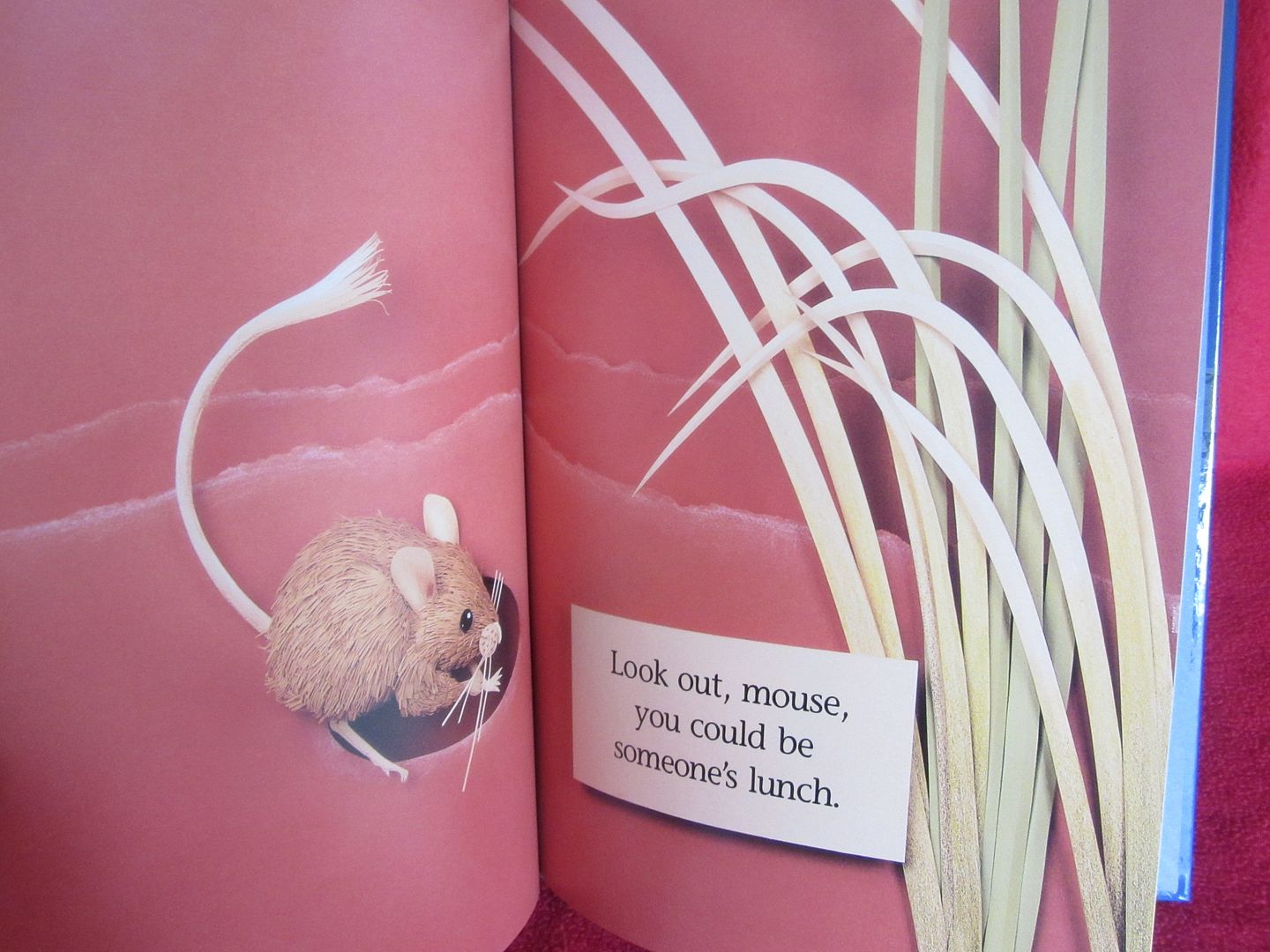  photo IMG_5260_zpsfuucaavx.jpg