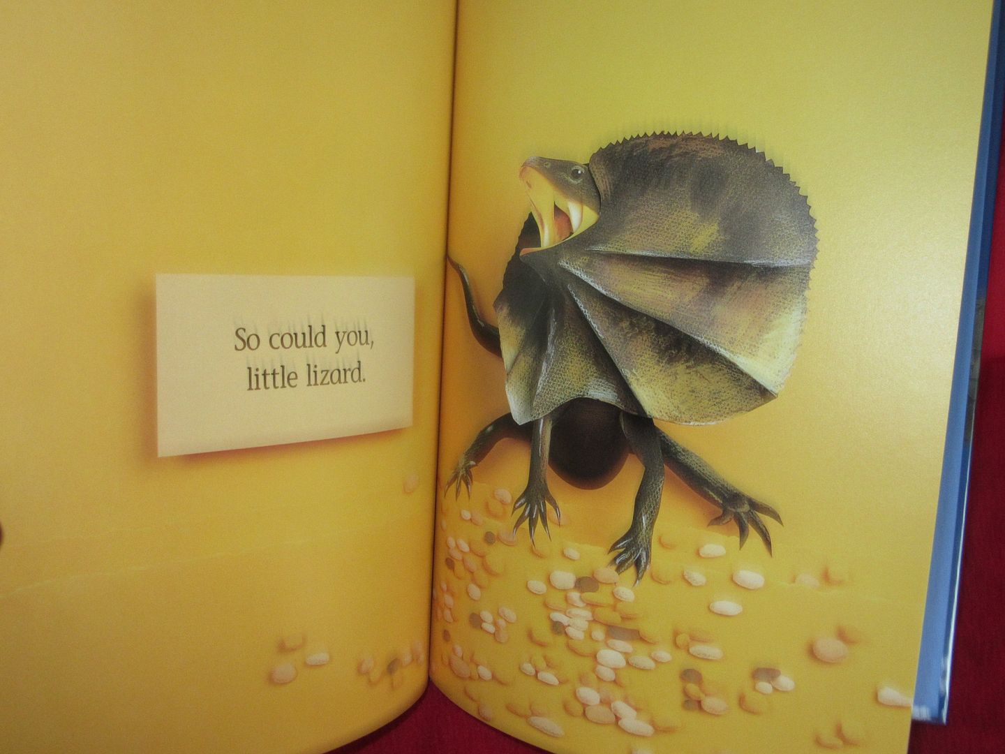  photo IMG_5261_zpsqxxv5ay6.jpg