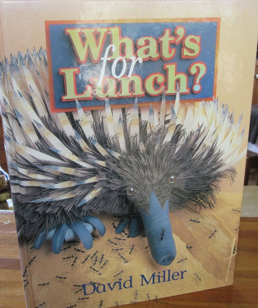  photo IMG_5290_zpshswmxkr9.jpg