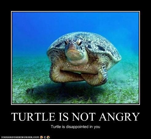 turtle-is-disappointed.jpg