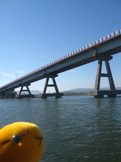 http://i1044.photobucket.com/albums/b445/Resurie/Cassiopeia/IMG_5415.jpg?t=1302452255