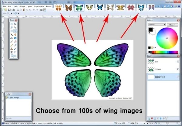Image
