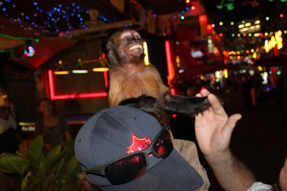 hangover 2 monkey. This monkey had a better