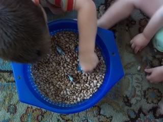 sorting beans