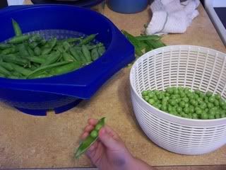 Shelling Peas