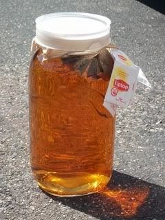 Sun Tea