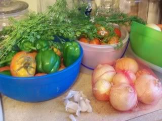 Salsa Ingredients