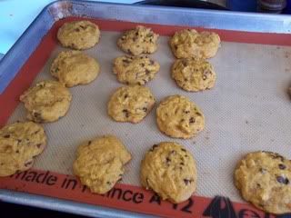 pumpkin chocolate chip