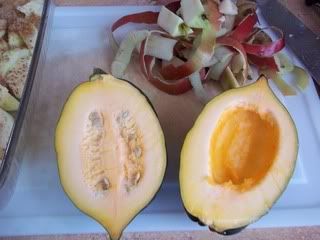 acorn squash