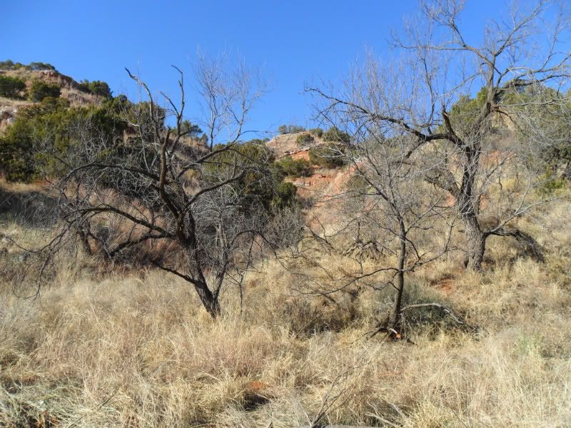 Matador WMA pics Photos Texas Hunting Forum