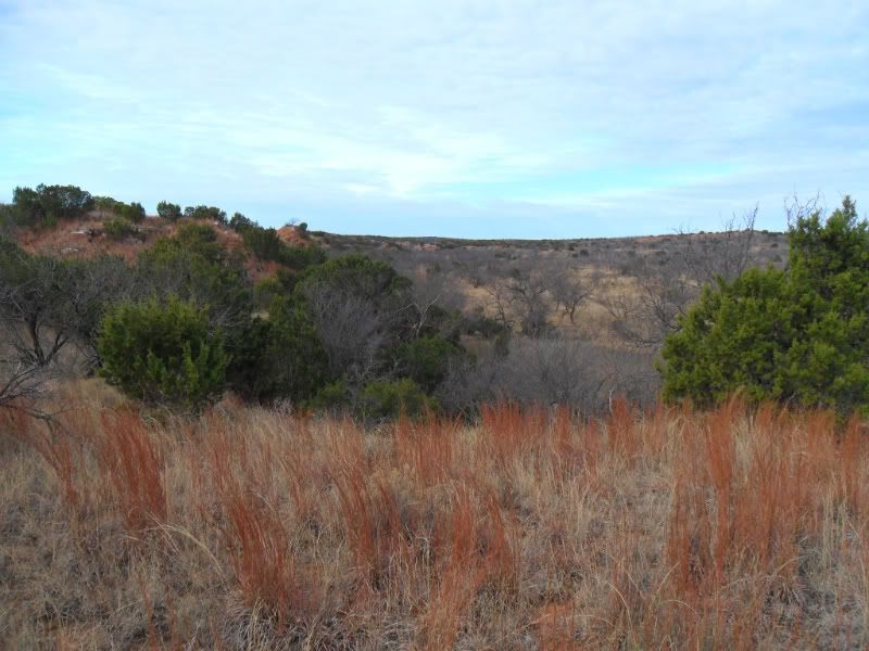 Matador WMA pics Photos Texas Hunting Forum