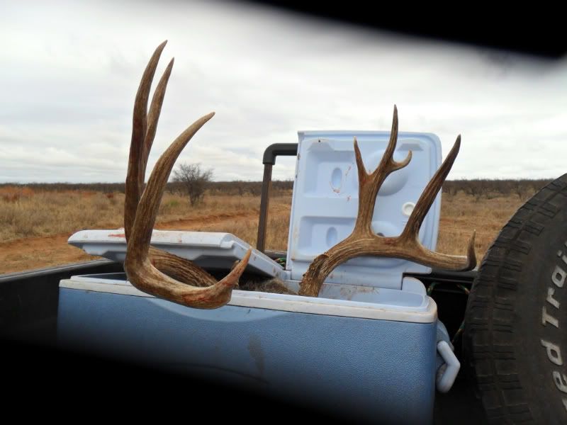 Matador WMA pics Photos Texas Hunting Forum