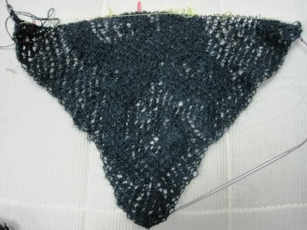 Dragon Shawl