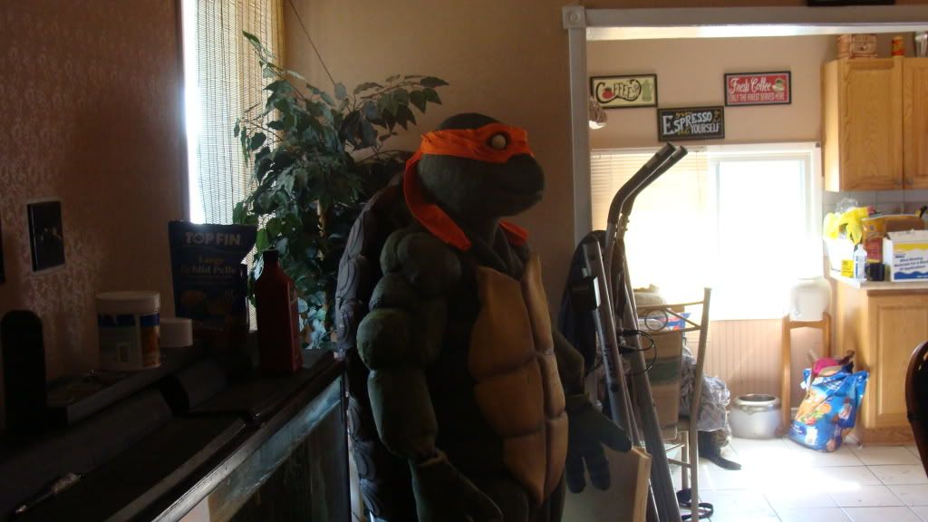 DSC02774.jpg