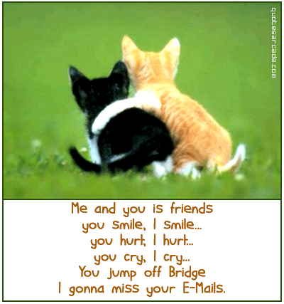 quotes about friendship funny. quotes about friendship funny.